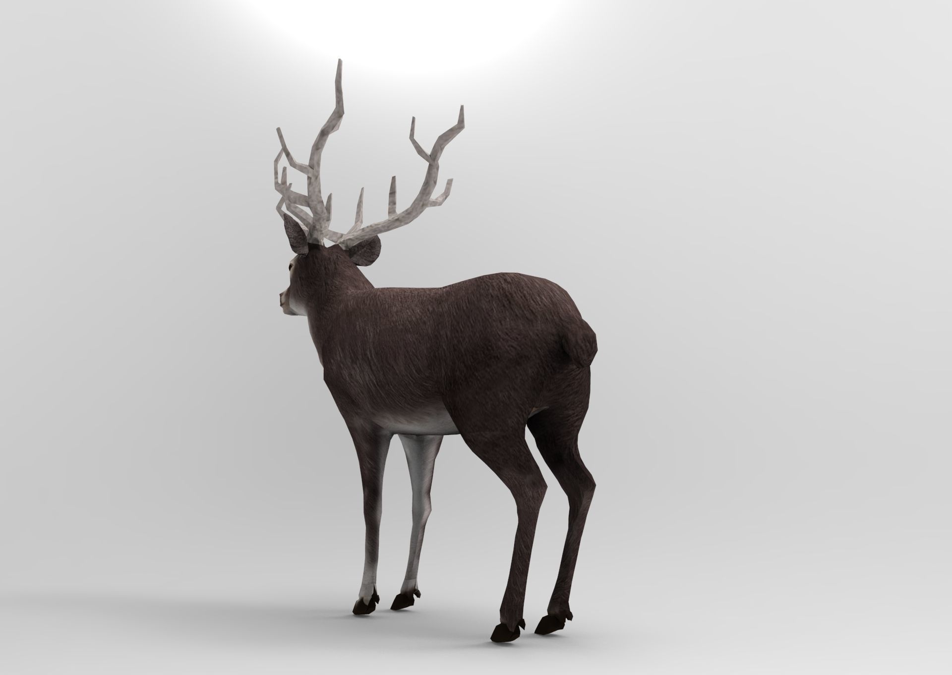 3D Black Deer low poly  Low-poly 3D model_13