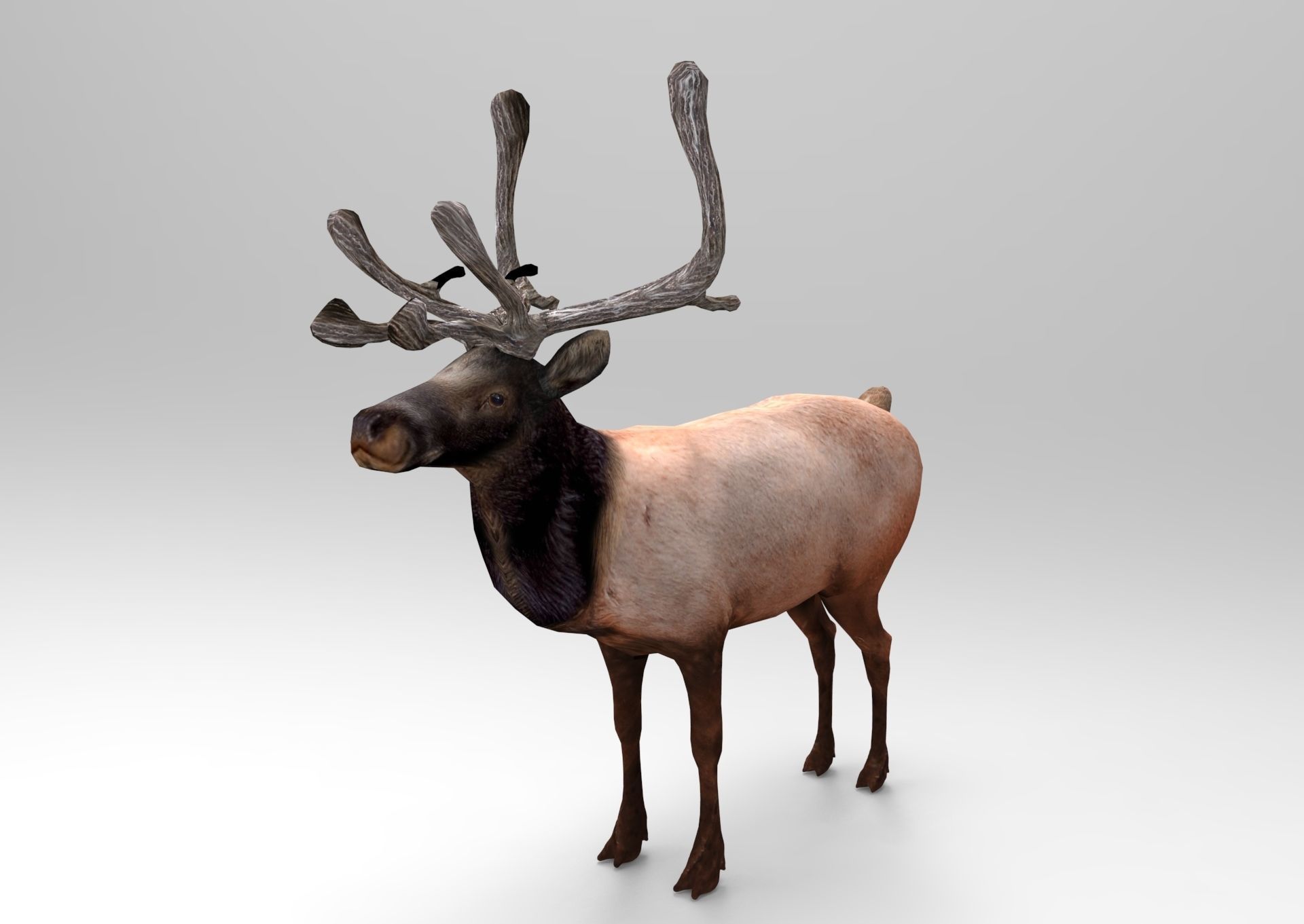 3D Reindeer game ready elk with antlers Low-poly 3D model_1