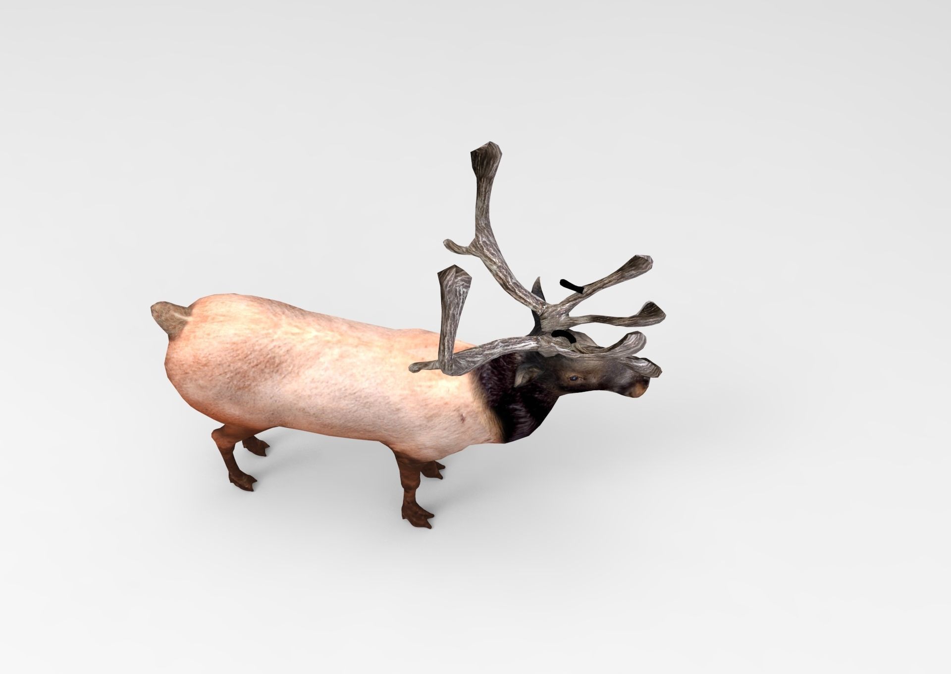 3D Reindeer game ready elk with antlers Low-poly 3D model_7