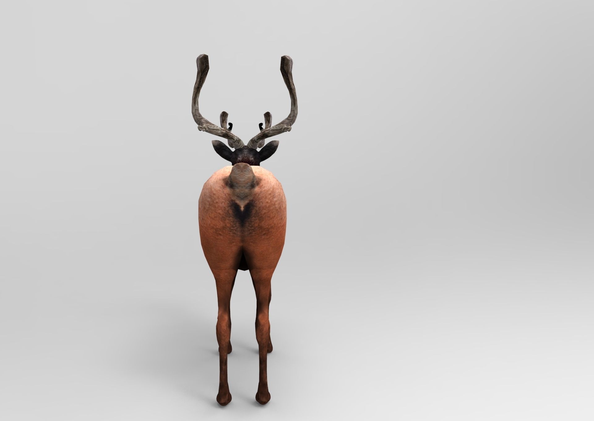 3D Reindeer game ready elk with antlers Low-poly 3D model_4
