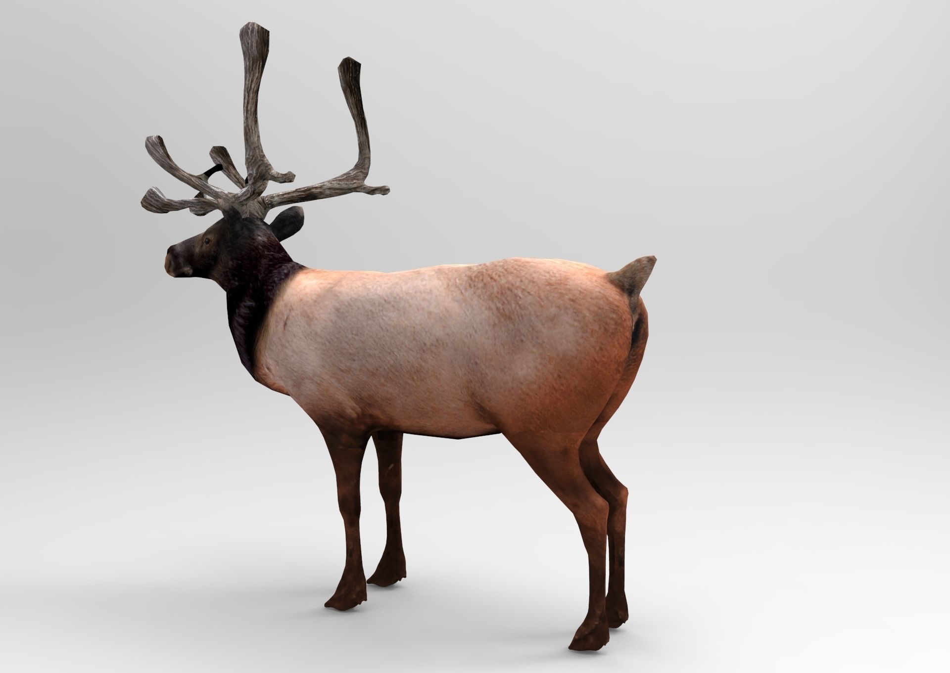 3D Reindeer game ready elk with antlers Low-poly 3D model_3