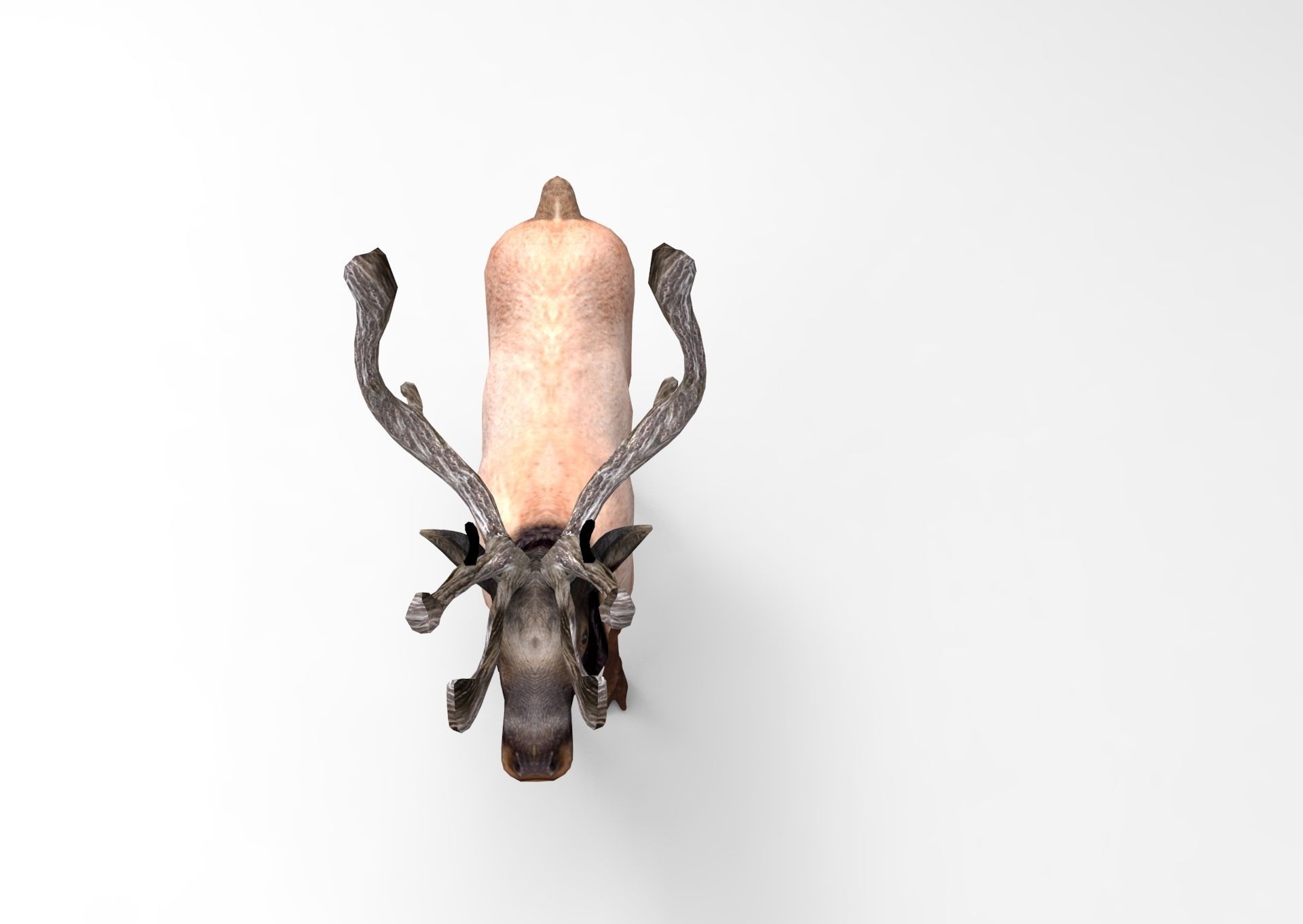 3D Reindeer game ready elk with antlers Low-poly 3D model_12