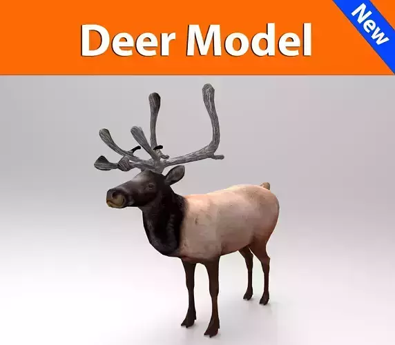 3D Reindeer game ready elk with antlers