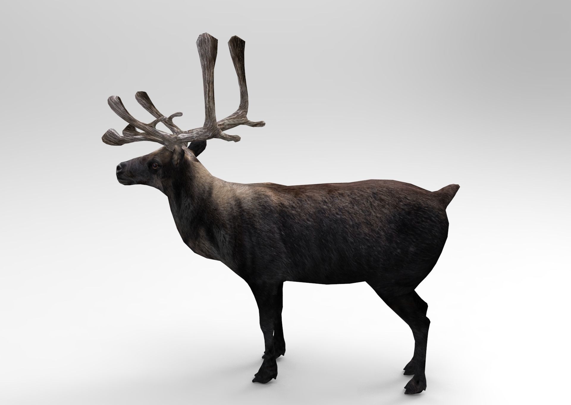 3D Reindeer low poly Low-poly 3D model_3