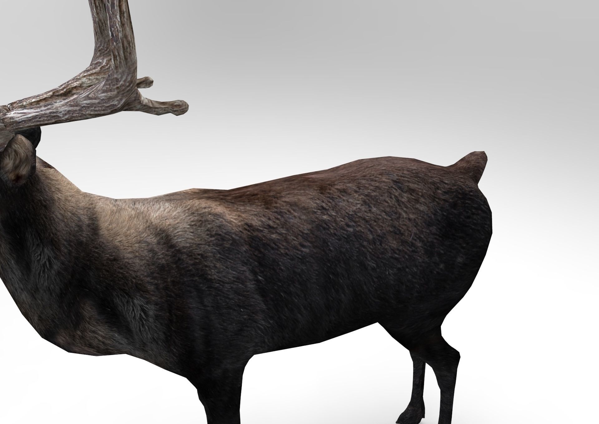 3D Reindeer low poly Low-poly 3D model_9