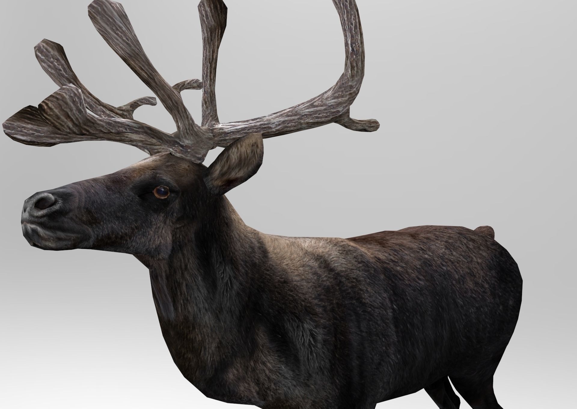 3D Reindeer low poly Low-poly 3D model_10
