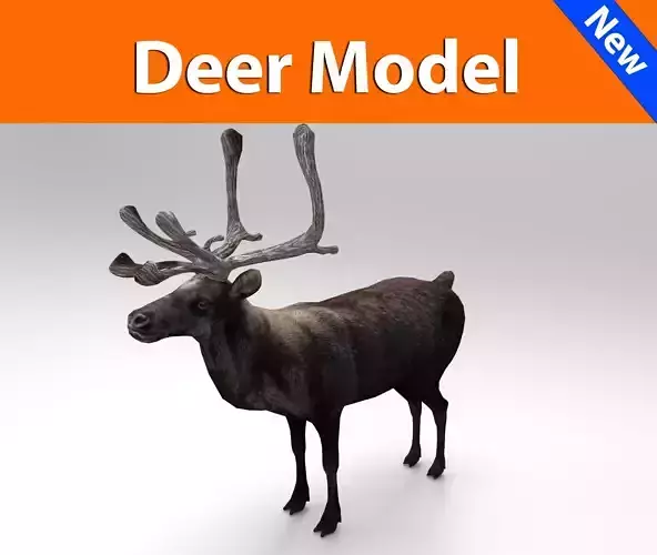 3D Reindeer low poly