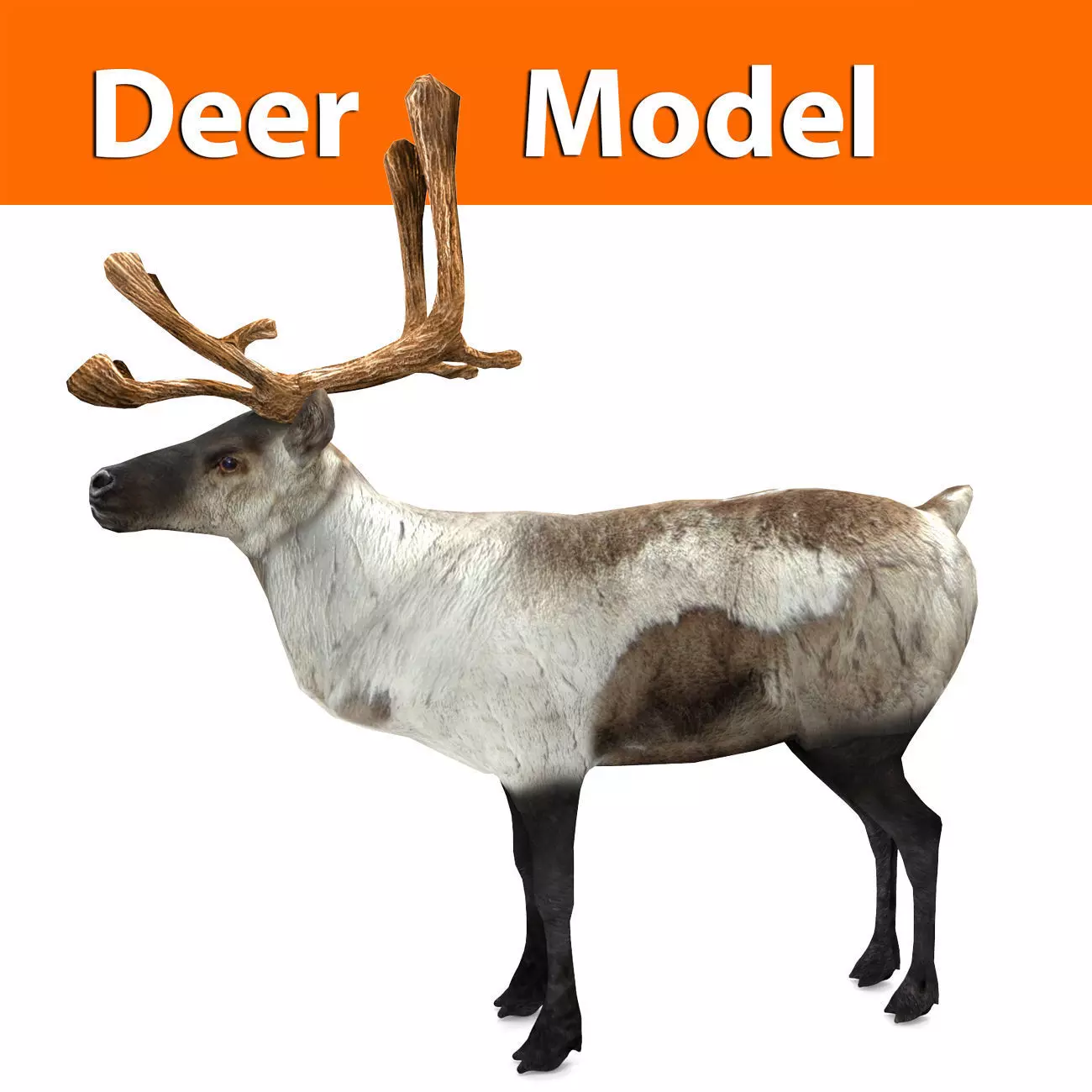 3D Reindeer model low poly with antlers Low-poly 3D model_0