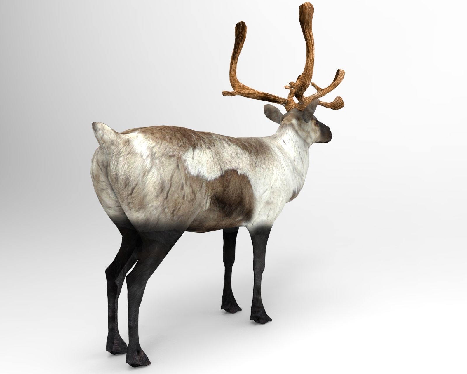 3D Reindeer model low poly with antlers Low-poly 3D model_6