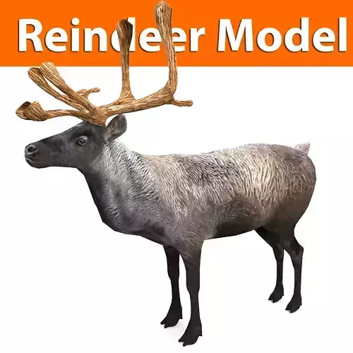 Reindeer 3d model game ready with antlers
