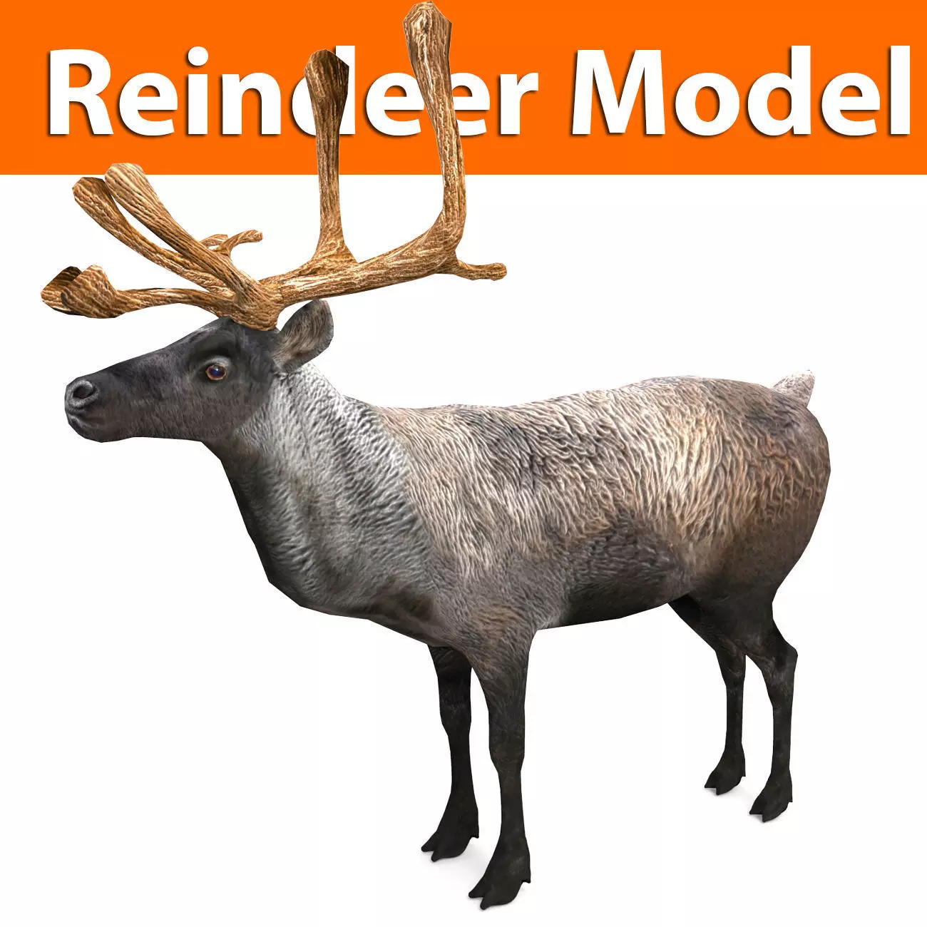 Reindeer 3d model game ready with antlers Low-poly 3D model_0