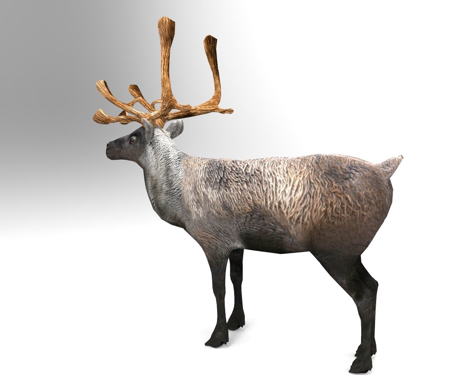 Reindeer 3d model game ready with antlers Low-poly 3D model_1