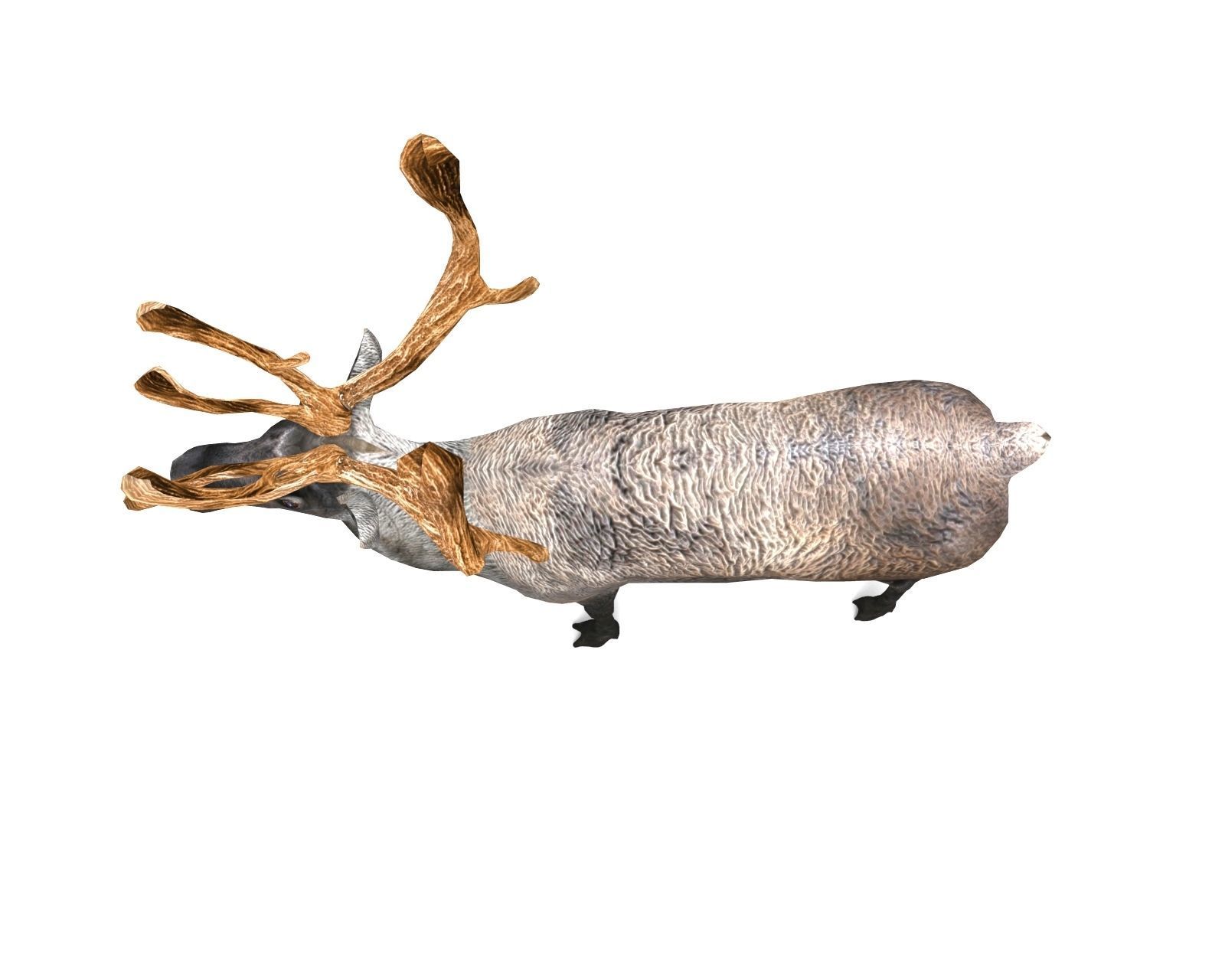 Reindeer 3d model game ready with antlers Low-poly 3D model_2