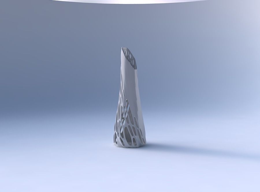 Vase top bent hexagon with organic lattice half solid 3D print model_4