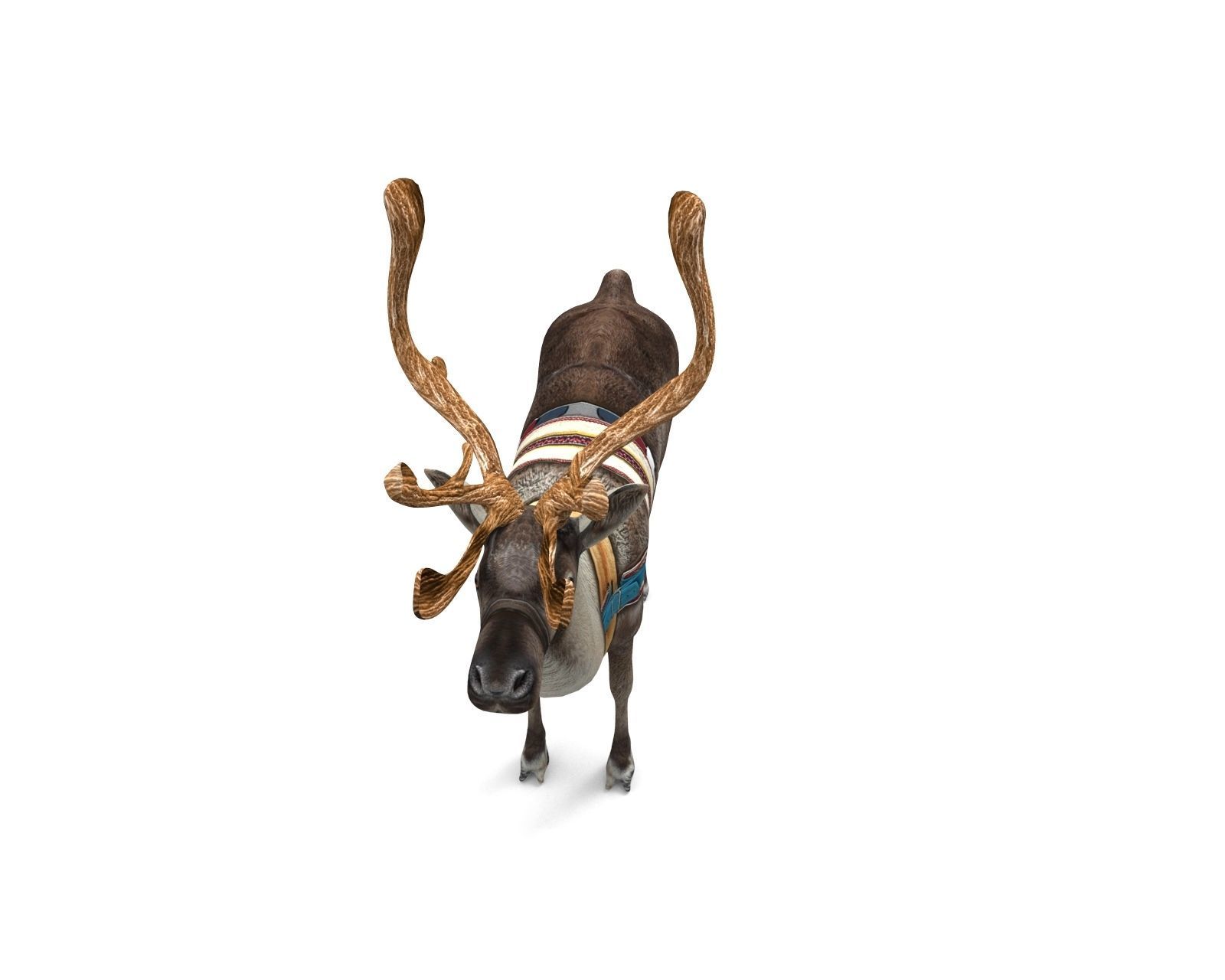 Reindeer model Game ready low poly 3D Low-poly 3D model_9