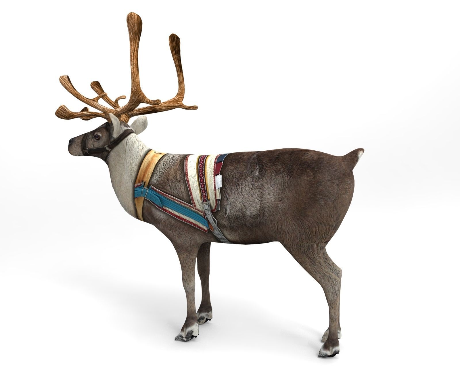Reindeer model Game ready low poly 3D Low-poly 3D model_1