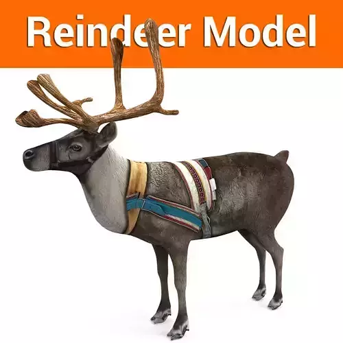 Reindeer model Game ready low poly 3D