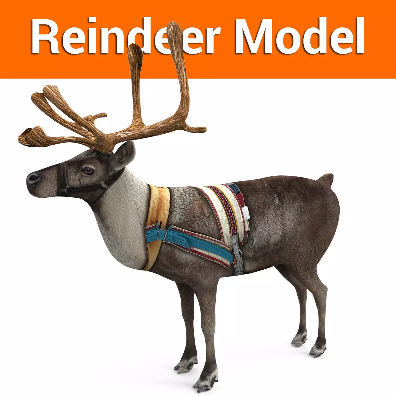 Reindeer model Game ready low poly 3D Low-poly 3D model_0