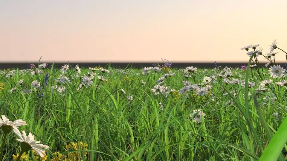 Grass flowers scene 3D model_0