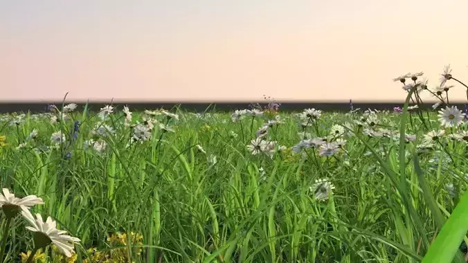 Grass flowers scene