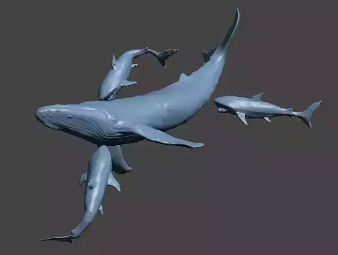 whale shark attack 3D print model