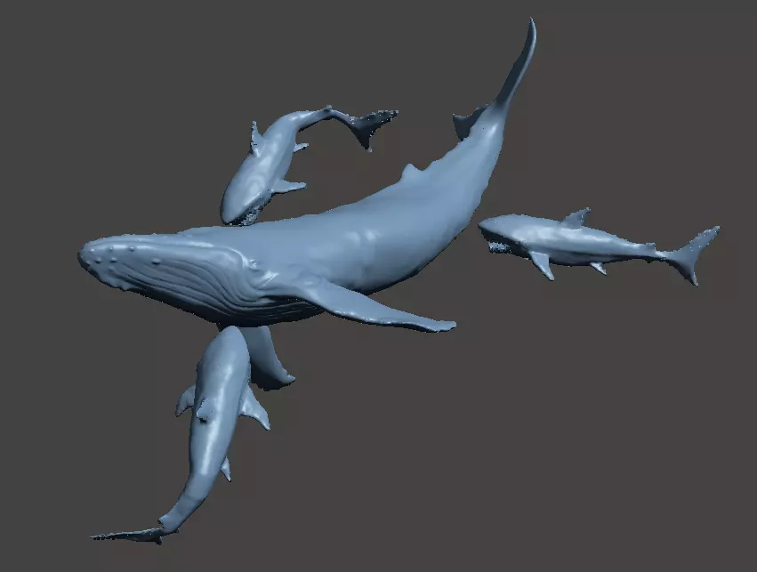 whale shark attack 3D print model_0