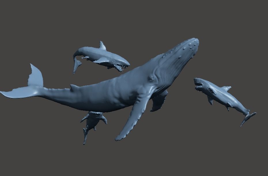 whale shark attack 3D print model_1