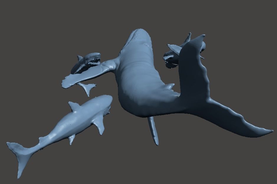 whale shark attack 3D print model_3