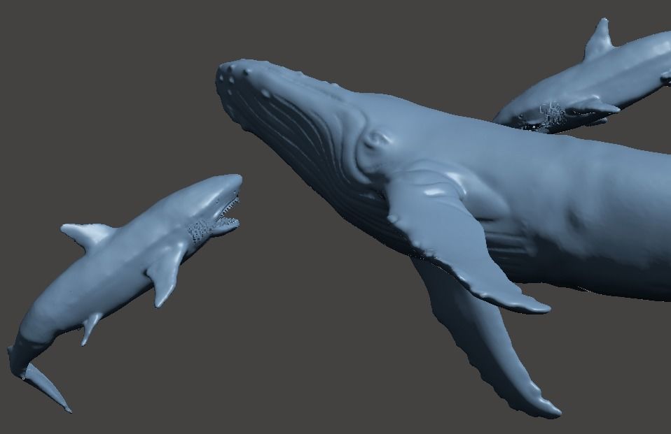 whale shark attack 3D print model_2
