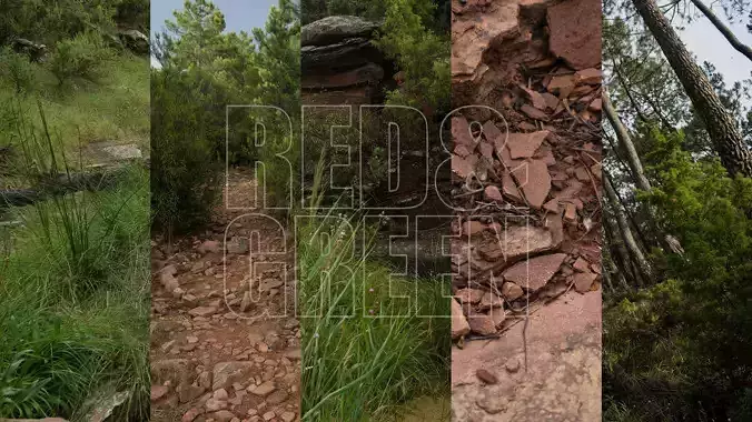 Red and Green Texture