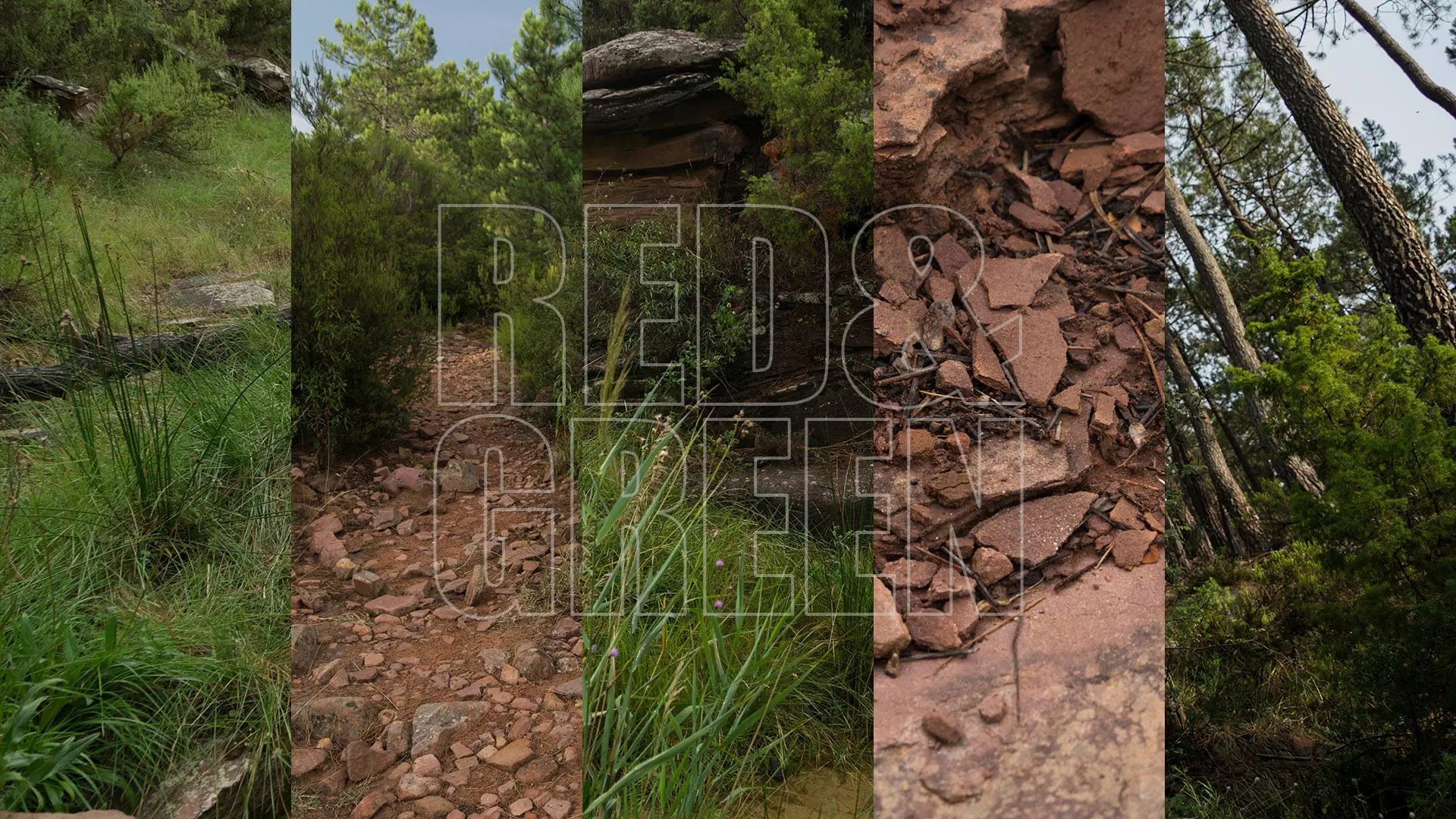 Red and Green Texture