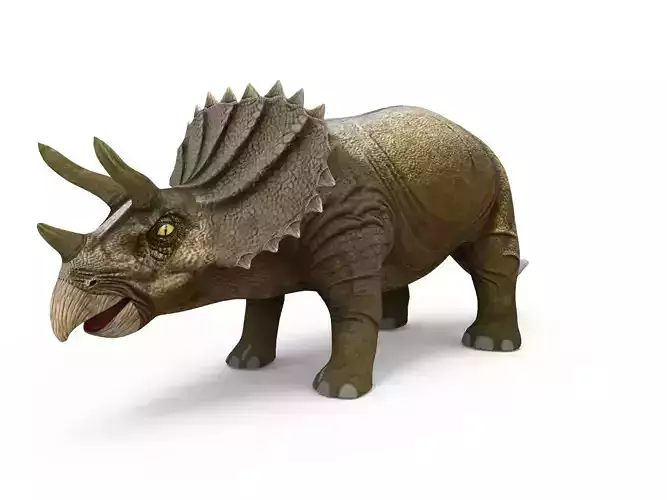 3D Triceratops dinosaur low poly  Low-poly 3D model