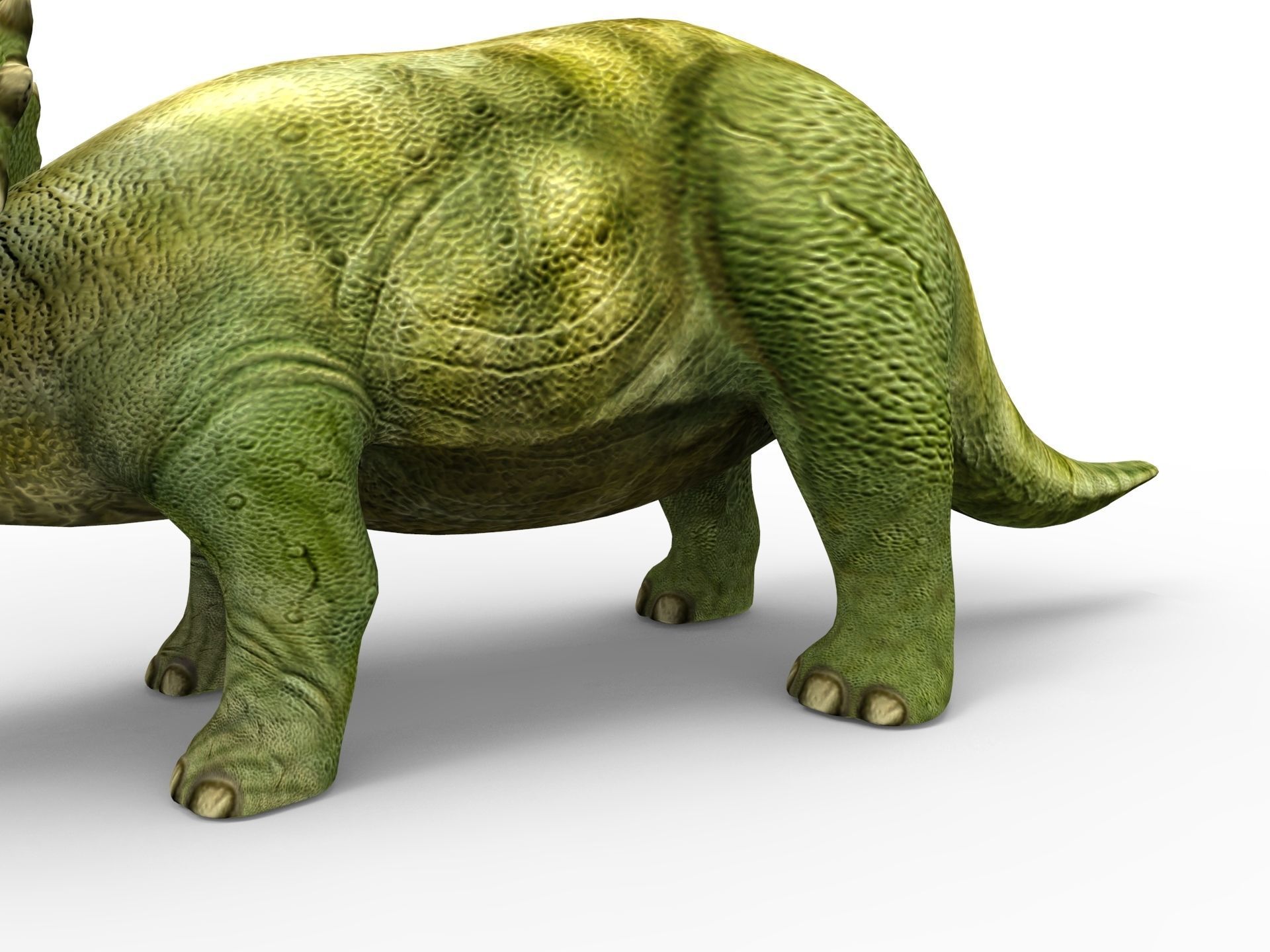 3D Green Triceratops dinosaur low poly  Low-poly 3D model_13