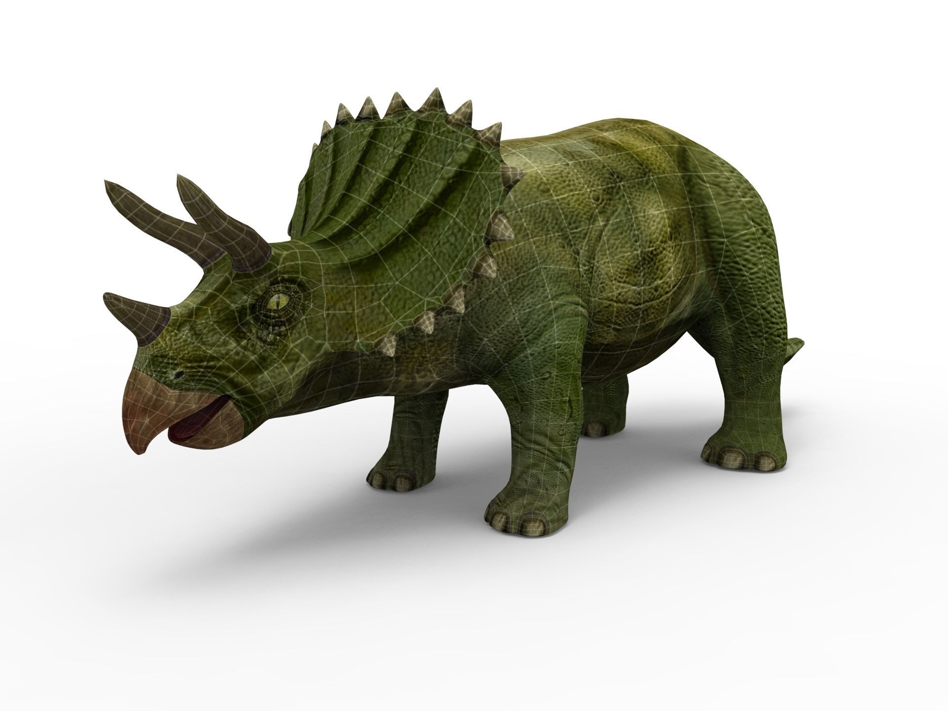 3D Green Triceratops dinosaur low poly  Low-poly 3D model_14