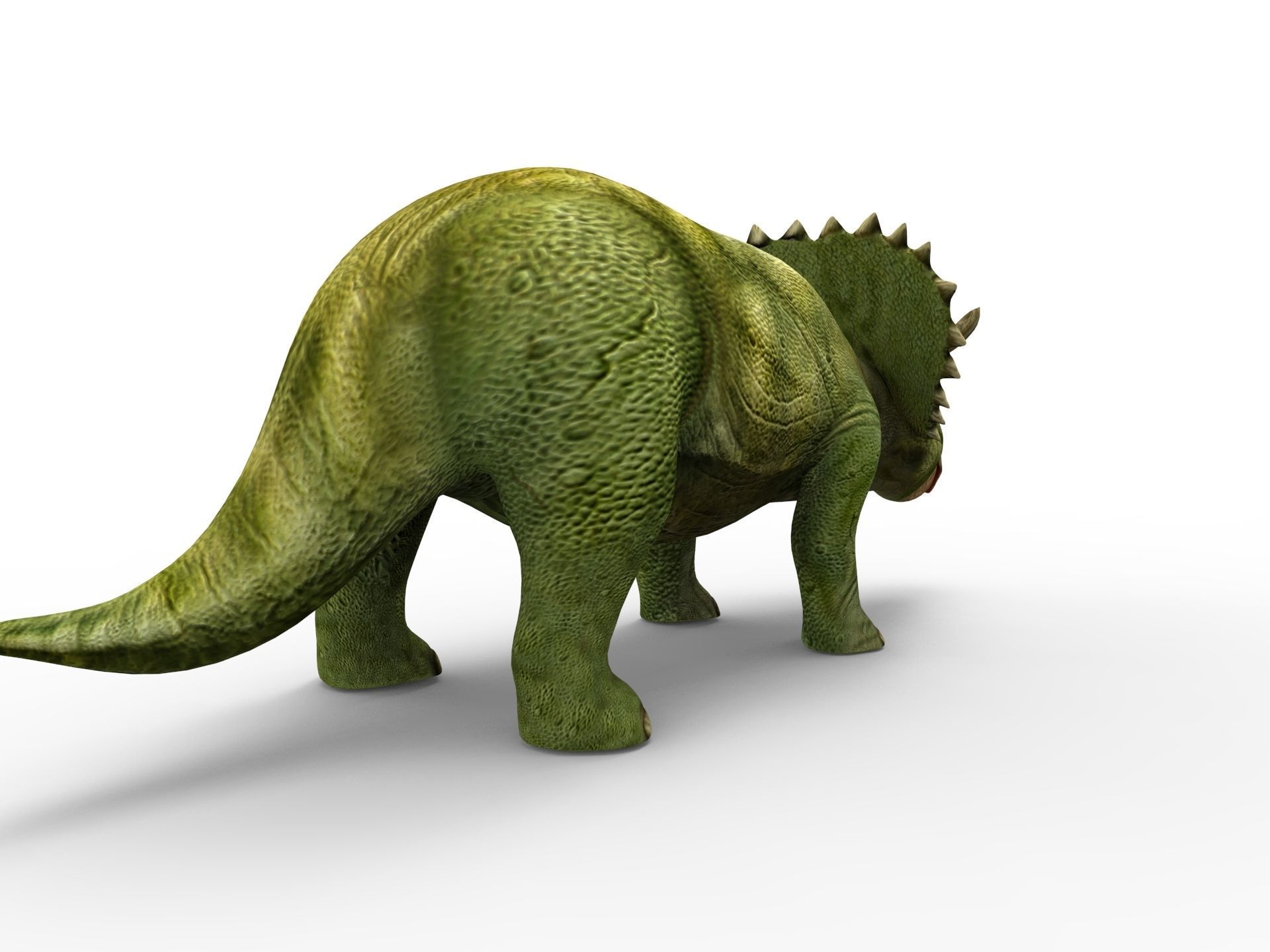 3D Green Triceratops dinosaur low poly  Low-poly 3D model_5