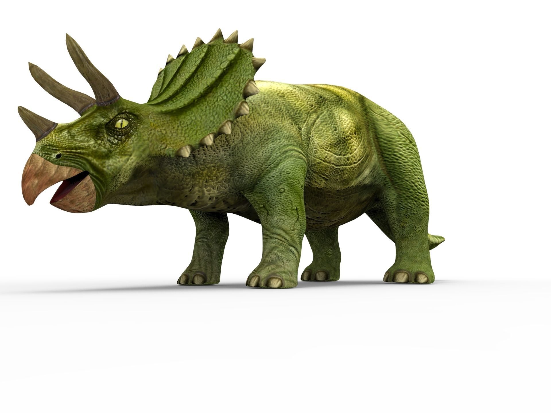 3D Green Triceratops dinosaur low poly  Low-poly 3D model_10