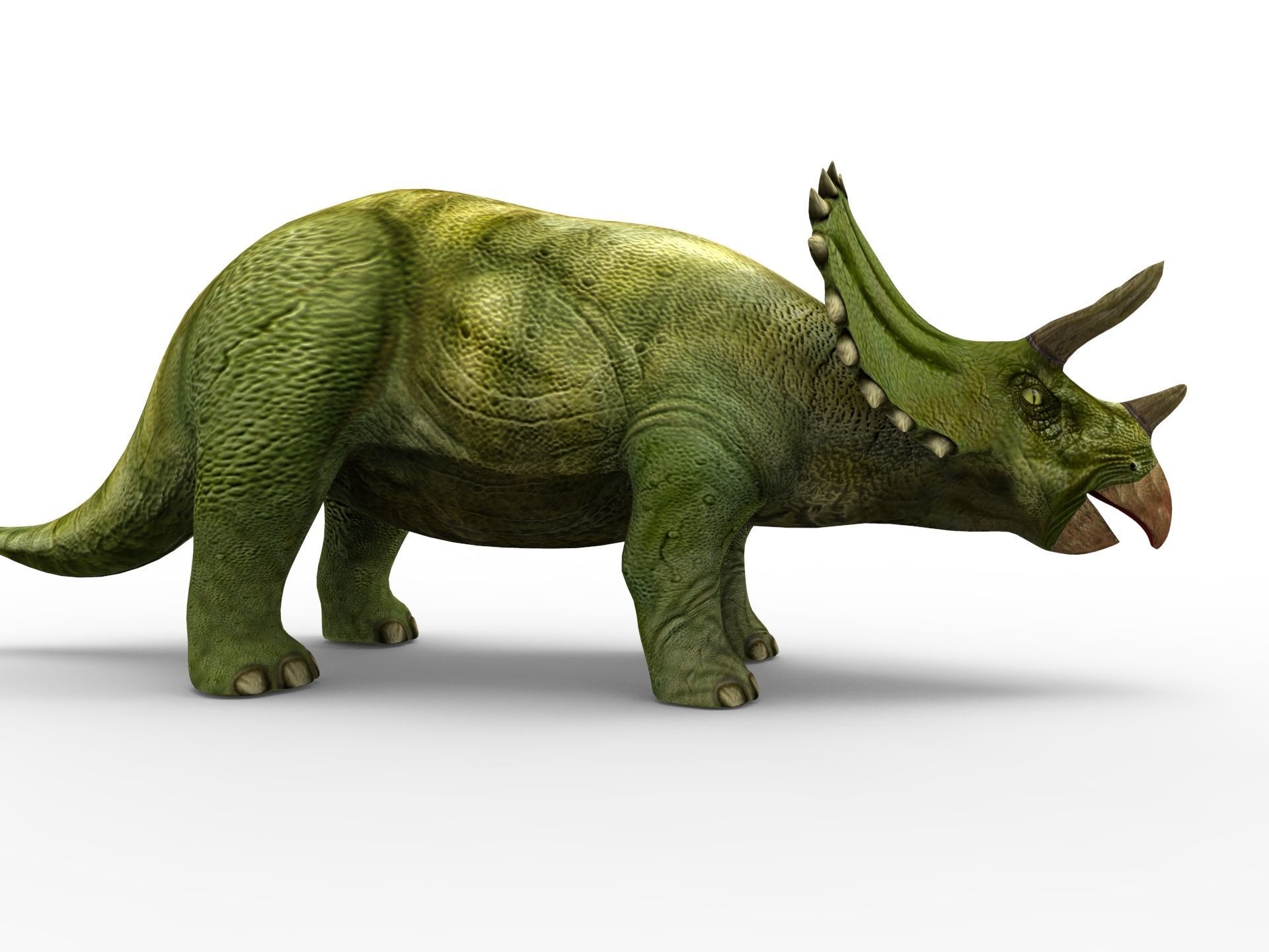 3D Green Triceratops dinosaur low poly  Low-poly 3D model_4
