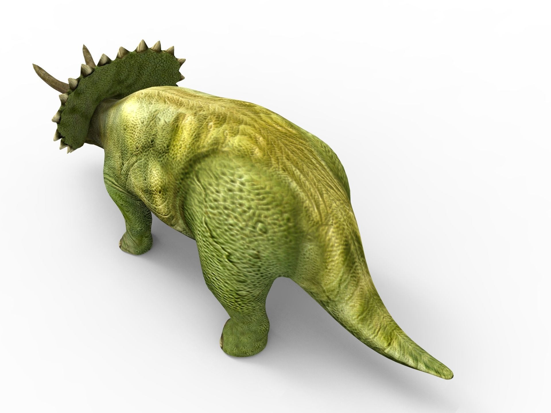 3D Green Triceratops dinosaur low poly  Low-poly 3D model_8