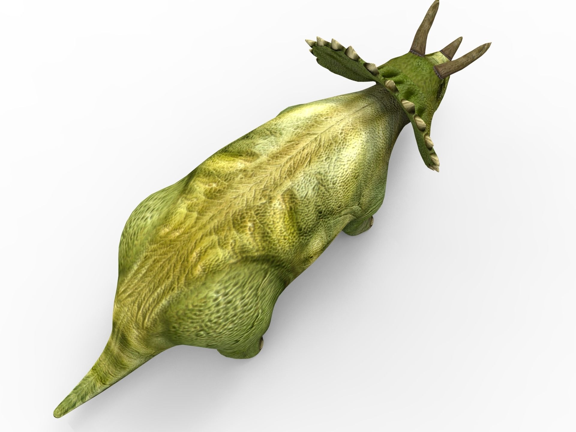 3D Green Triceratops dinosaur low poly  Low-poly 3D model_7