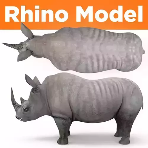 3D rhino rhinoceros realistic low poly 