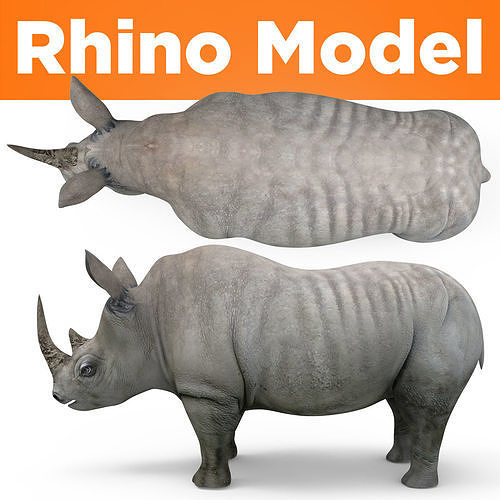 3D rhino rhinoceros realistic low poly  Low-poly 3D model