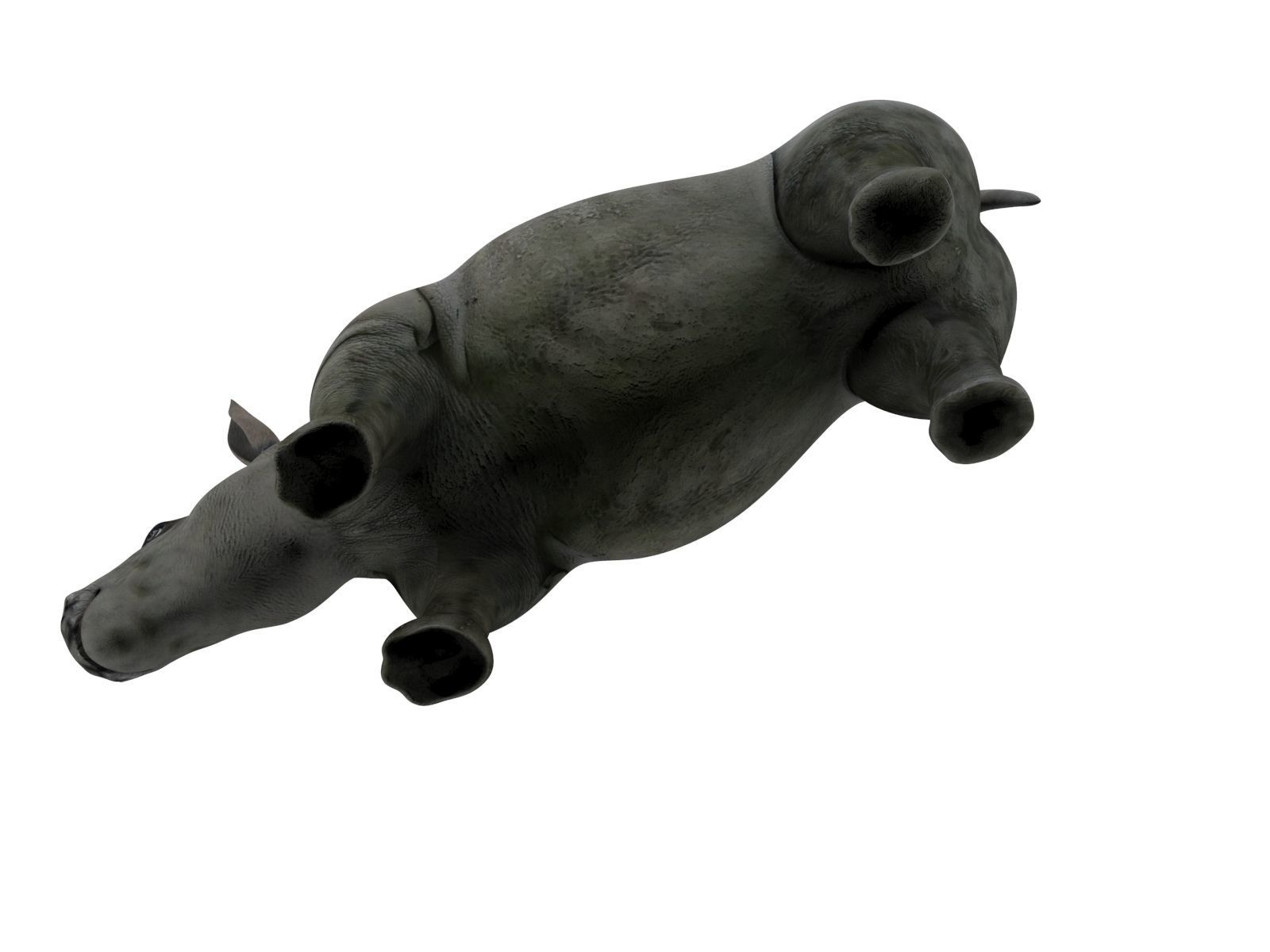 3D rhino rhinoceros realistic low poly Low-poly 3D model_8