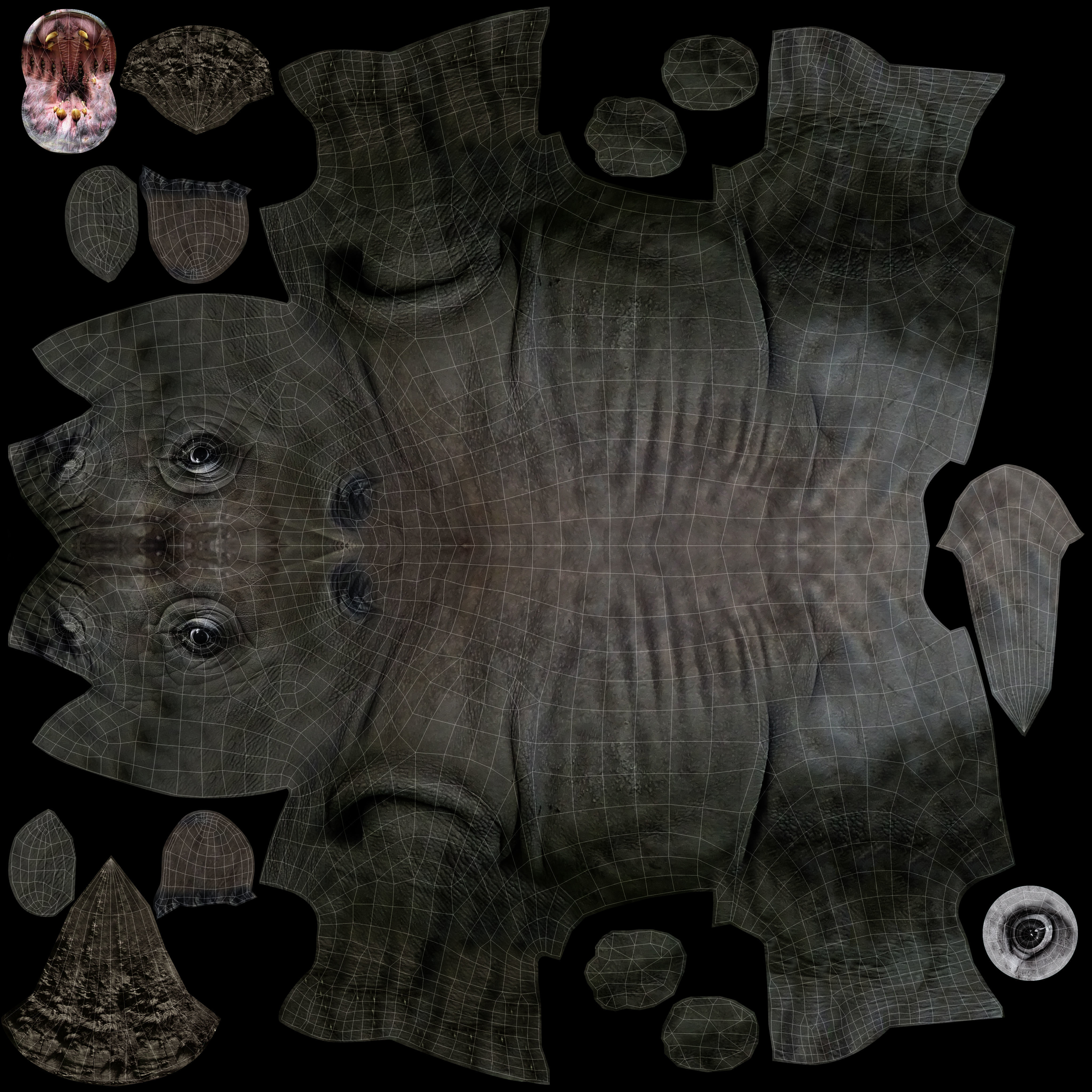 3D rhino rhinoceros realistic low poly Low-poly 3D model_18