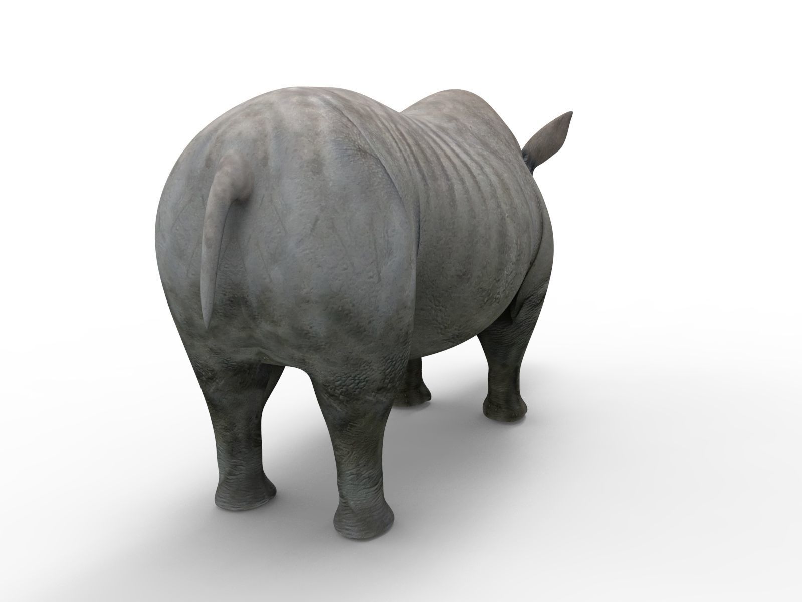 3D rhino rhinoceros realistic low poly Low-poly 3D model_5