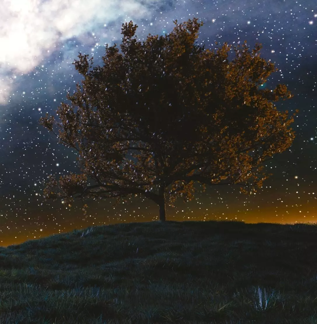 Tree at night Free 3D model