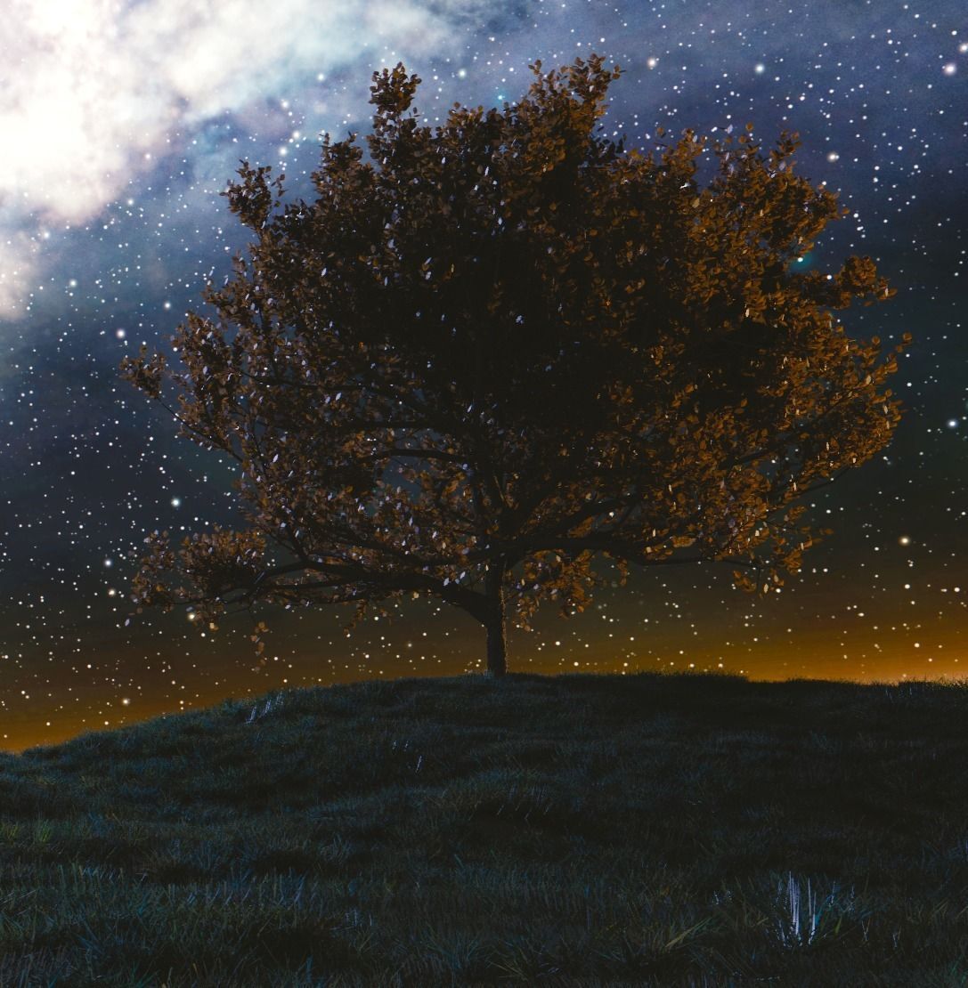 Tree at night Free 3D model_0