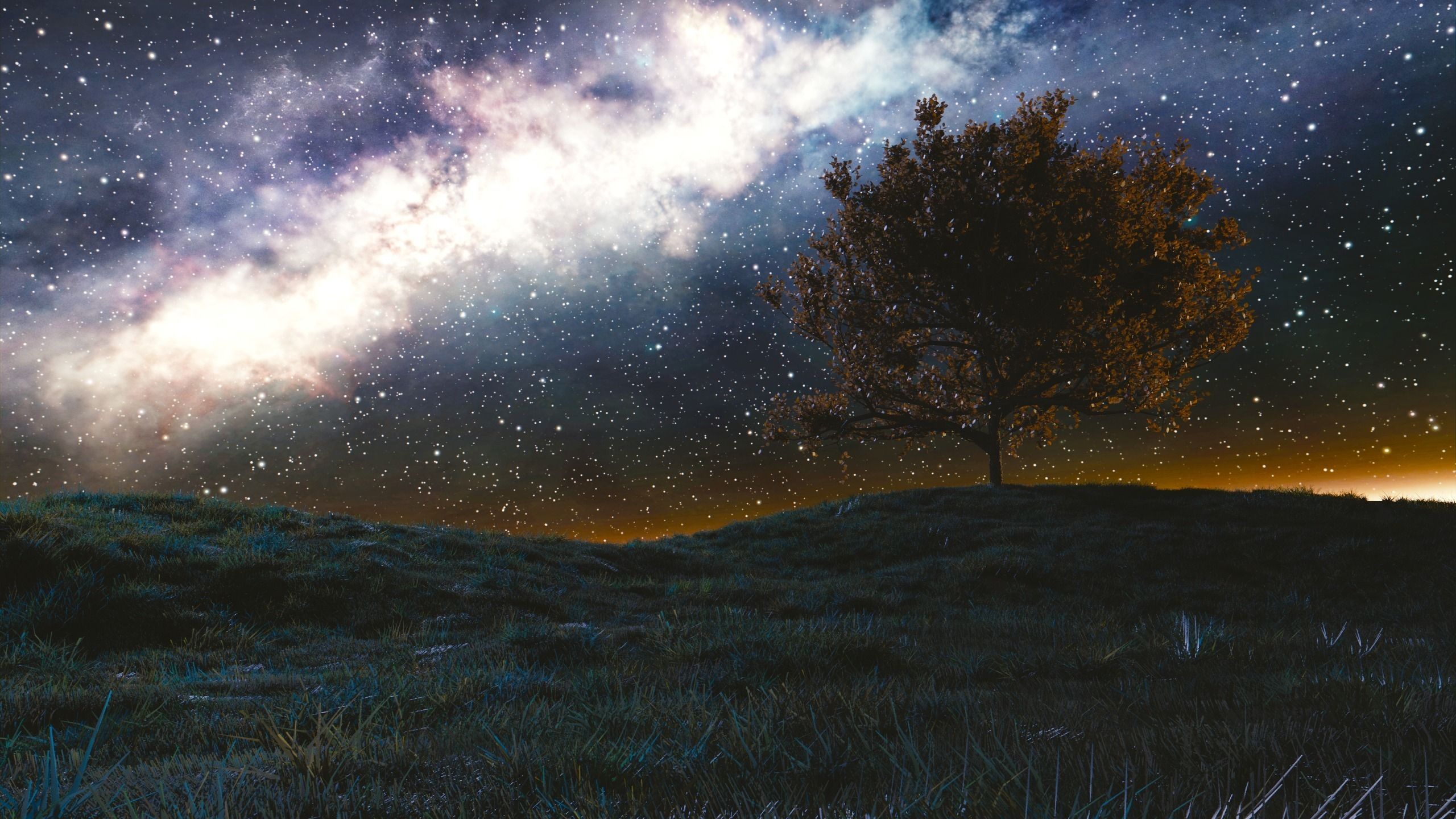 Tree at night Free 3D model_1