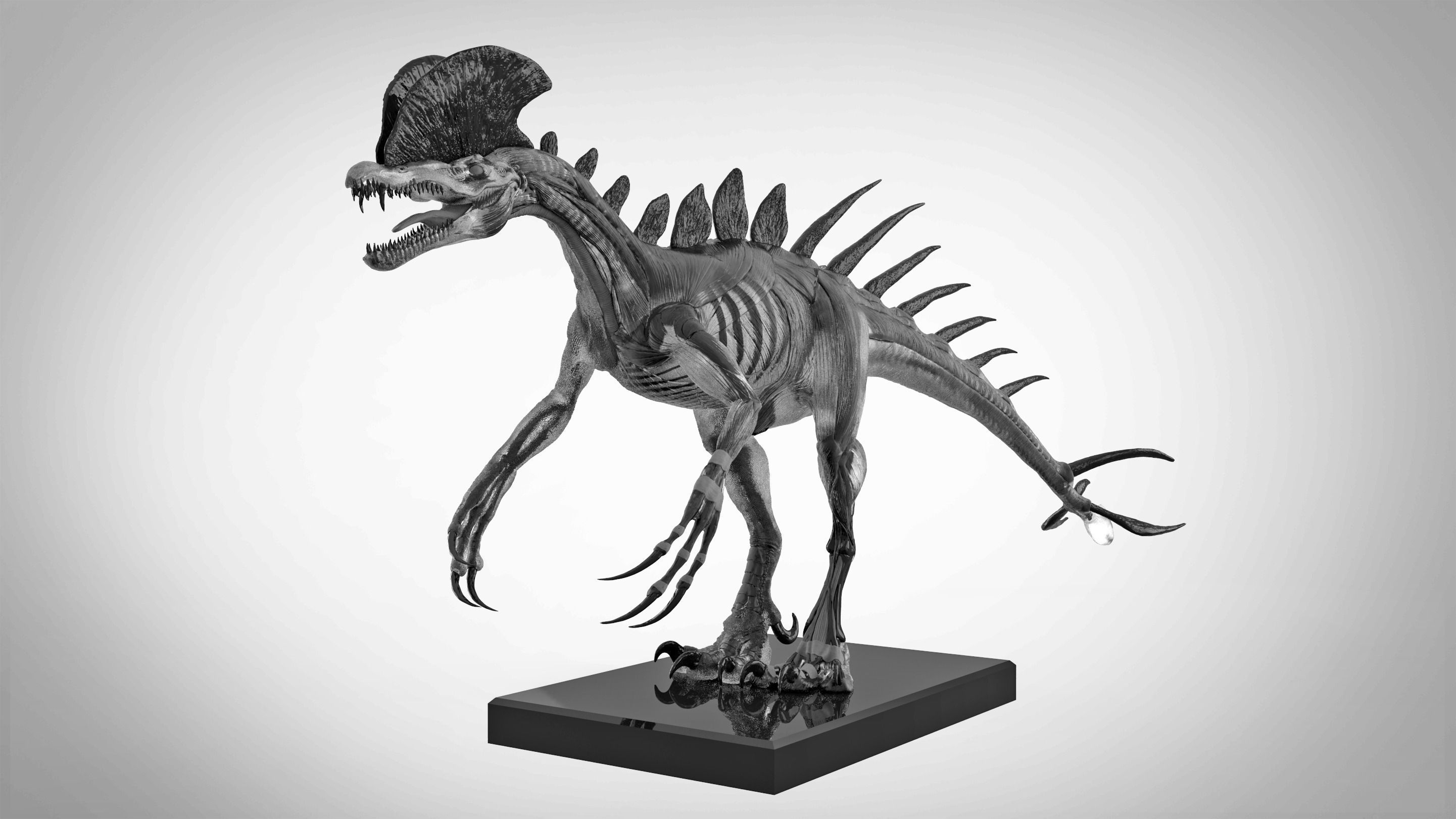 The ecorche of the Pyrosuvious 3D model_4