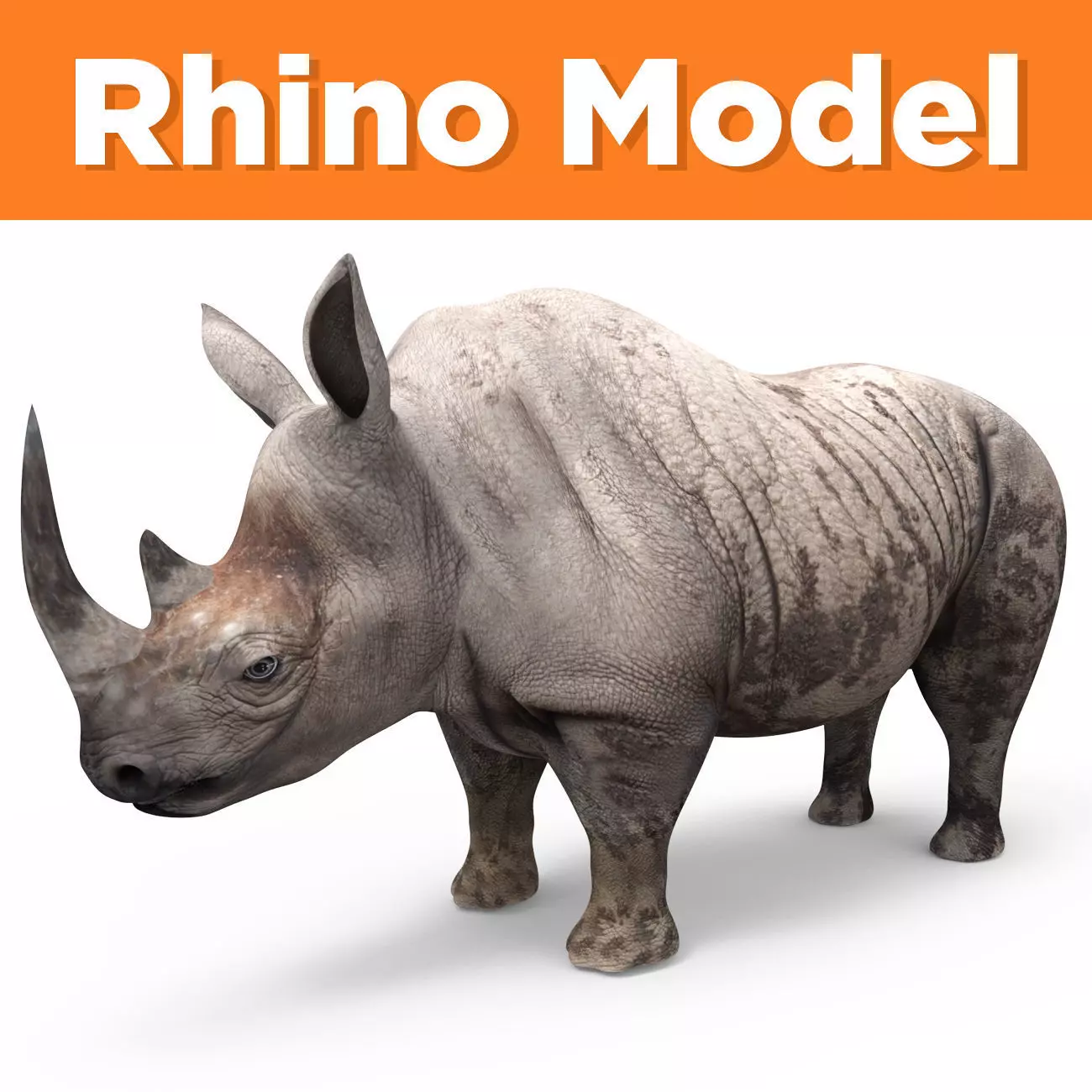Dirty Realistic Rhino 3D Models Low-poly 3D model