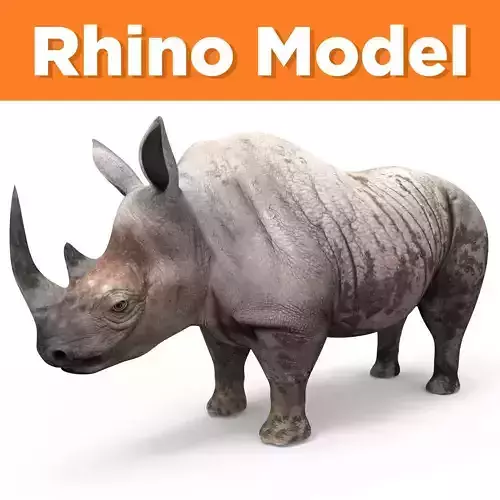Dirty Realistic Rhino 3D Models 